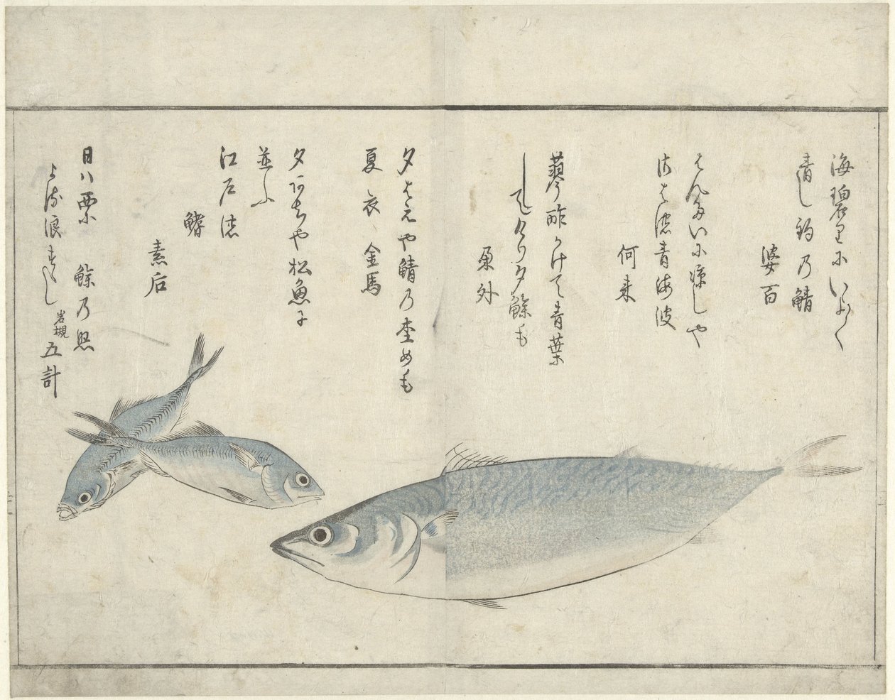 Drei Fische von Kitao Masayoshi