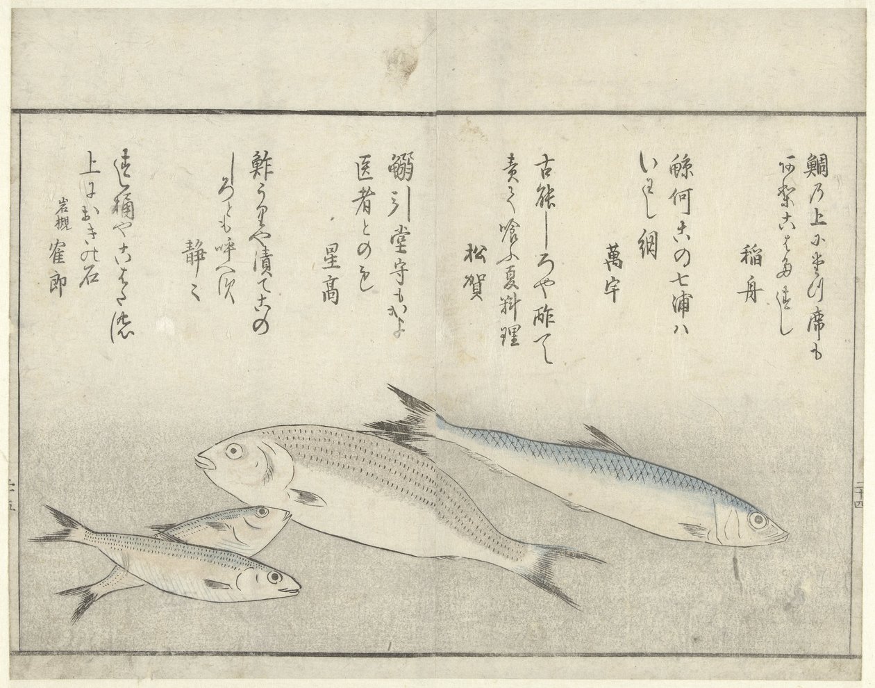 Vier Fische von Kitao Masayoshi