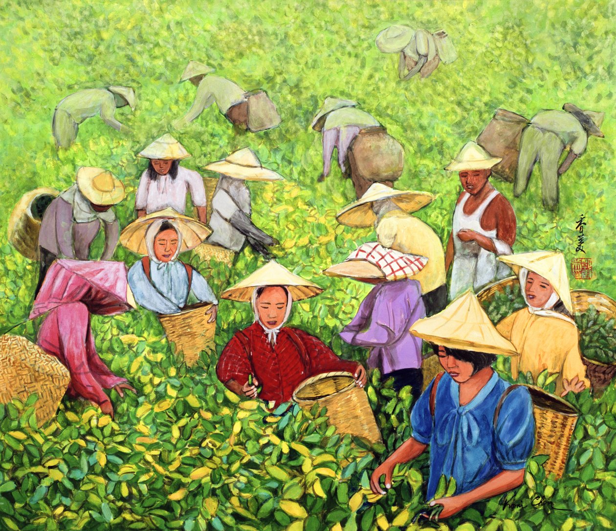 Teepflückerin, 1994 von Komi Chen