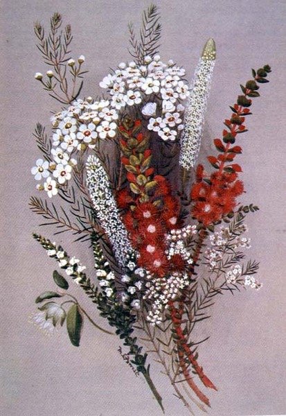 Unbekanntes Bild von Lady Margaret Forest
