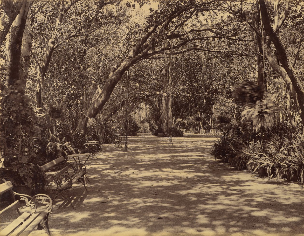 Sookh-Vilas Palastgarten, 1880-90 von Lala Deen Dayal