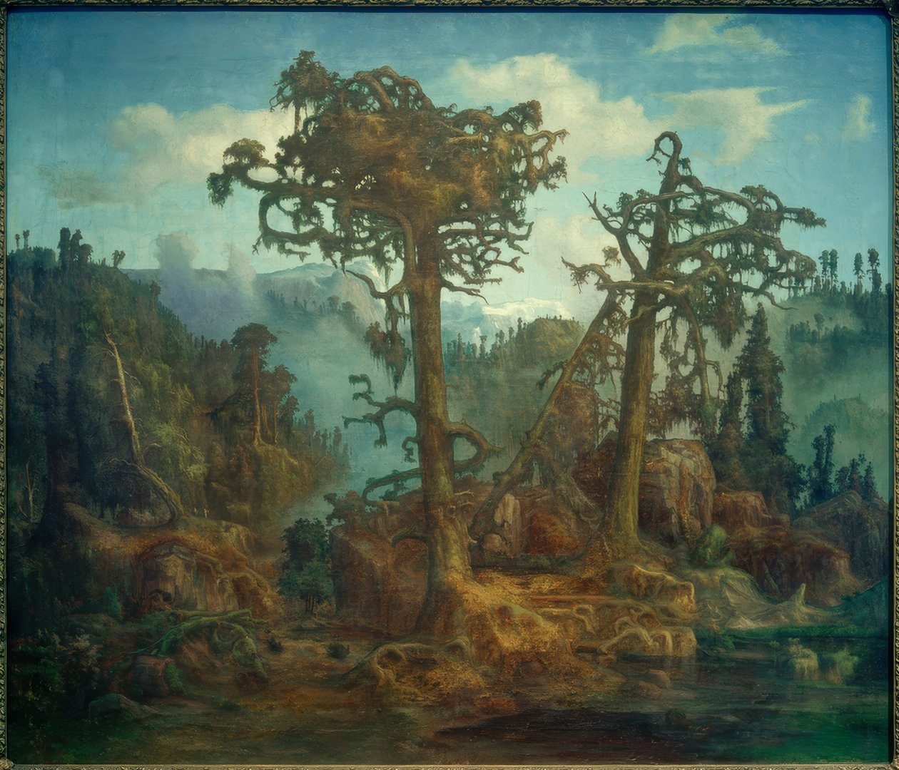 Alte Kiefern von Lars Hertervig