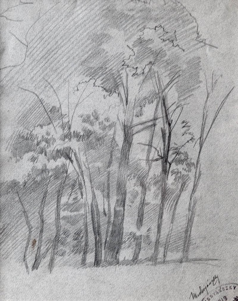 Liget von Laszlo Mednyanszky