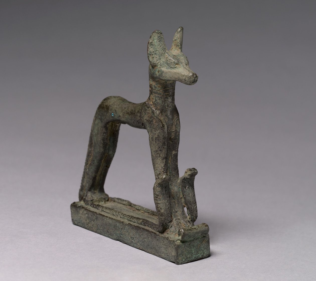 Schakal, 664-30 v. Chr. von Late Period Egyptian