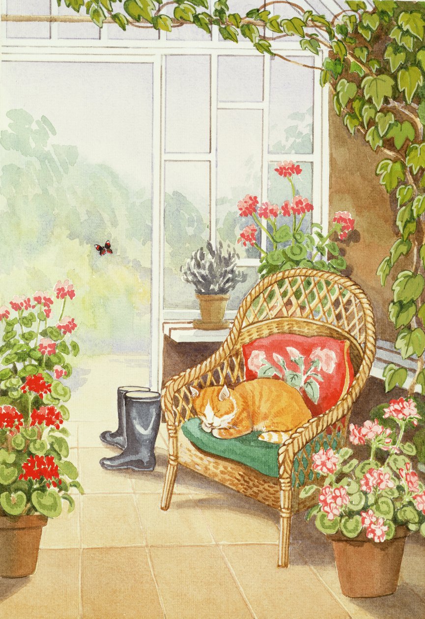 Im Wintergarten von Lavinia Hamer