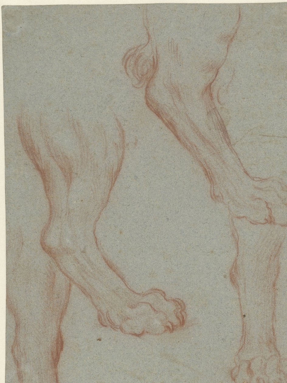 Studienblatt mit zwei Löwenpfoten von Leandro Bassano