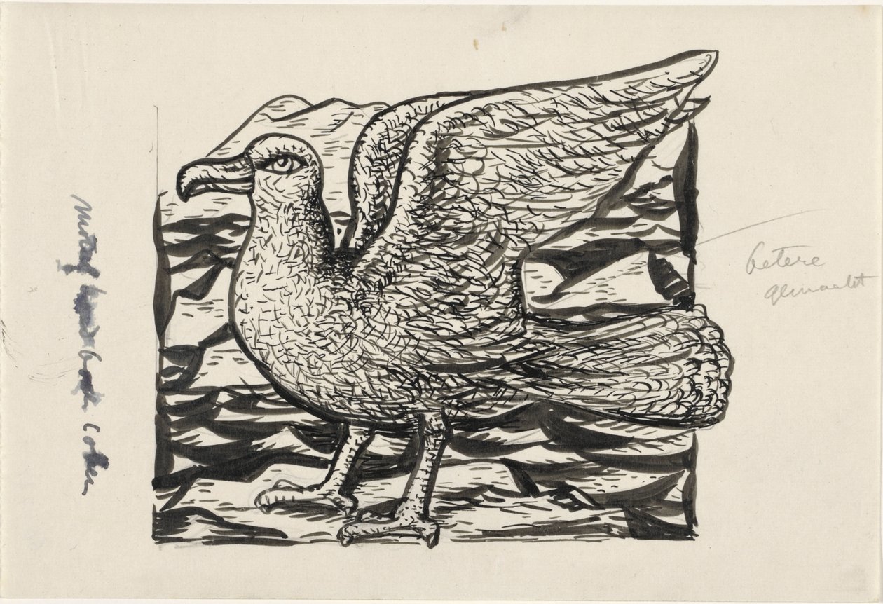 Möwe von Leo Gestel