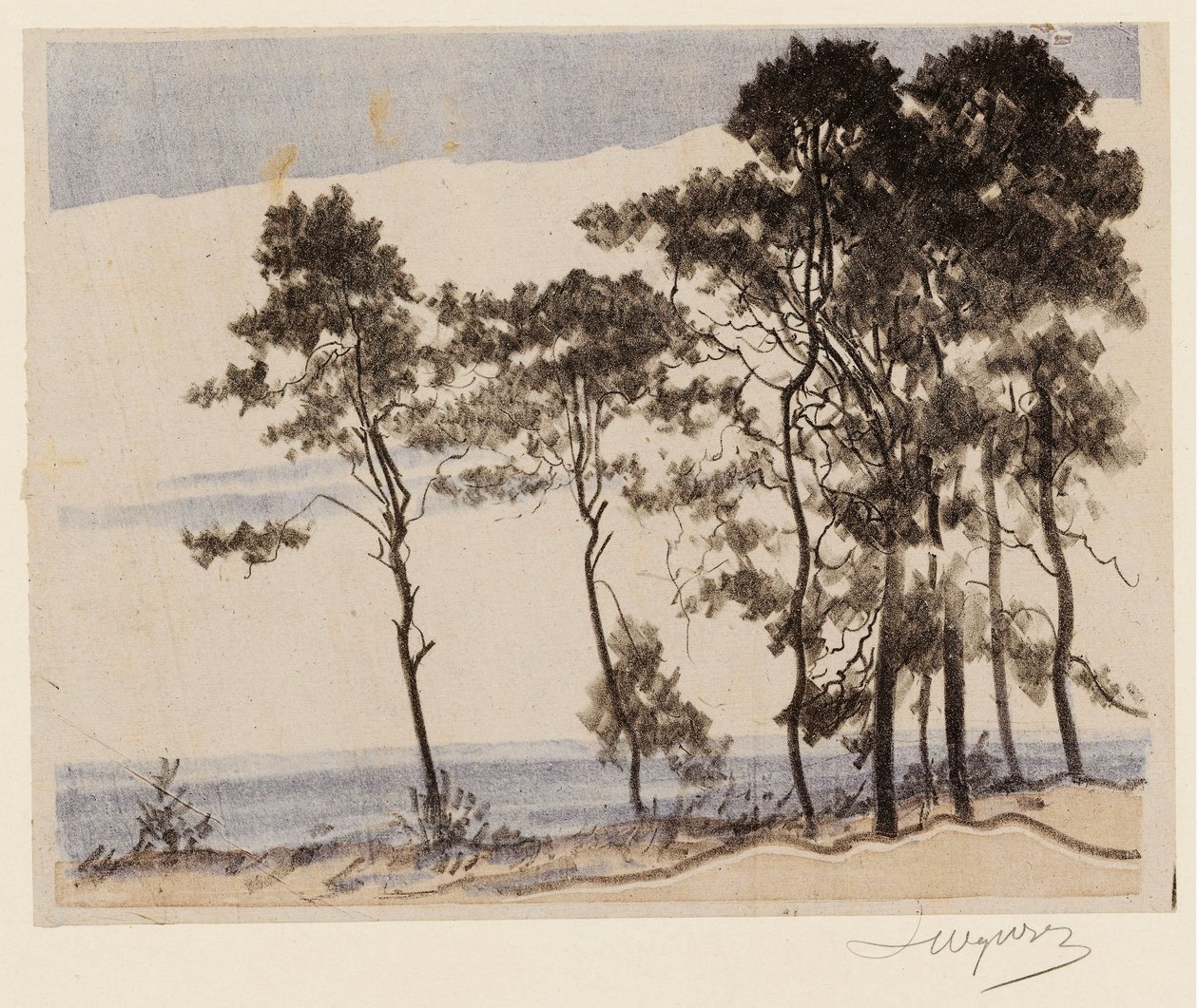 Kiefern Nr. II von Leon Wyczokowski