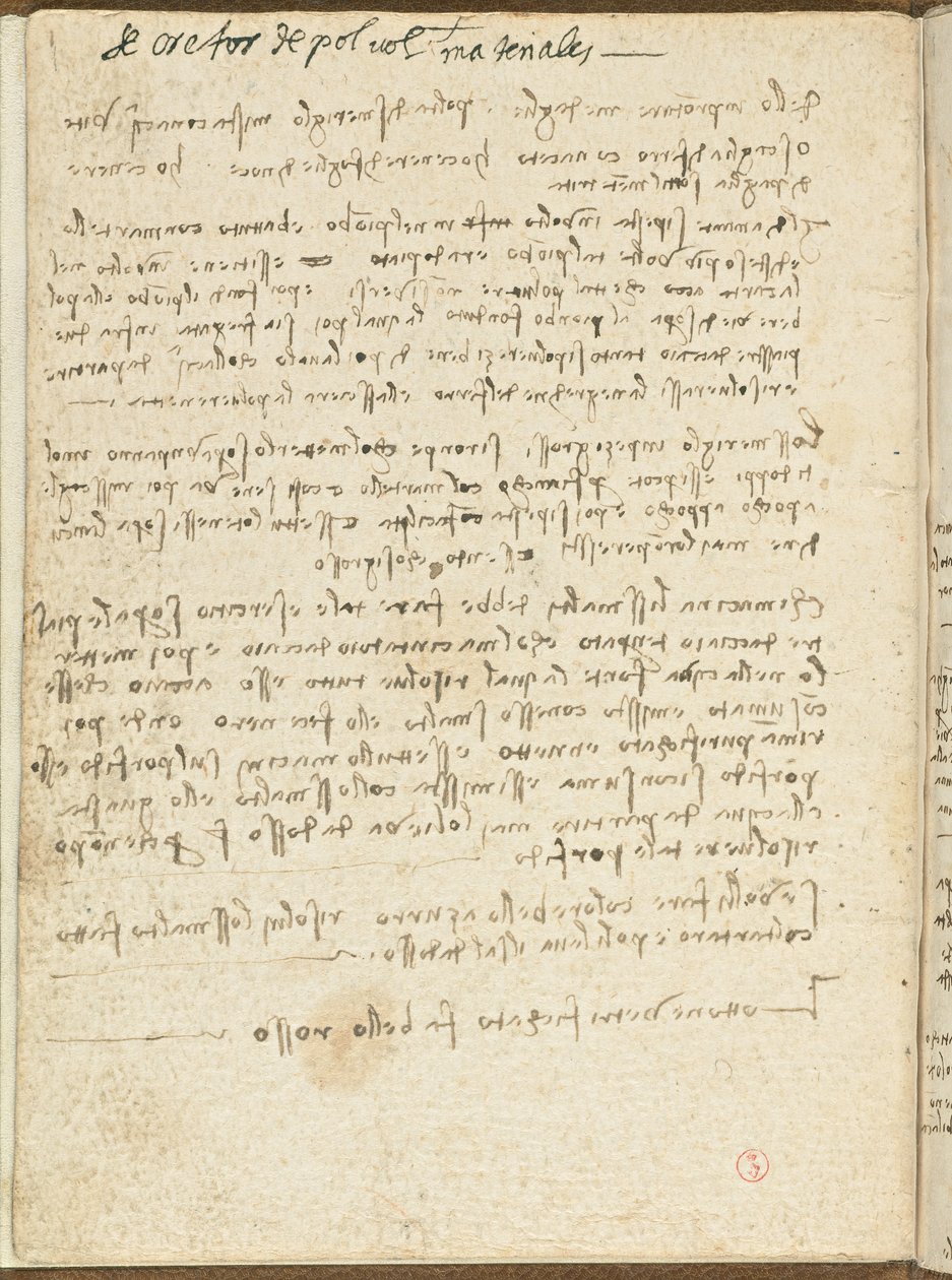 Flug der Vögel, c. 1505-06, Manuskript, Umschlag II von Leonardo da Vinci