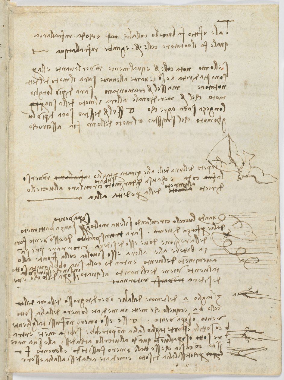 Vogelflugkodex, ca. 1505-06, Papiermanuskript, cc. 18, Blatt 10 recto von Leonardo da Vinci
