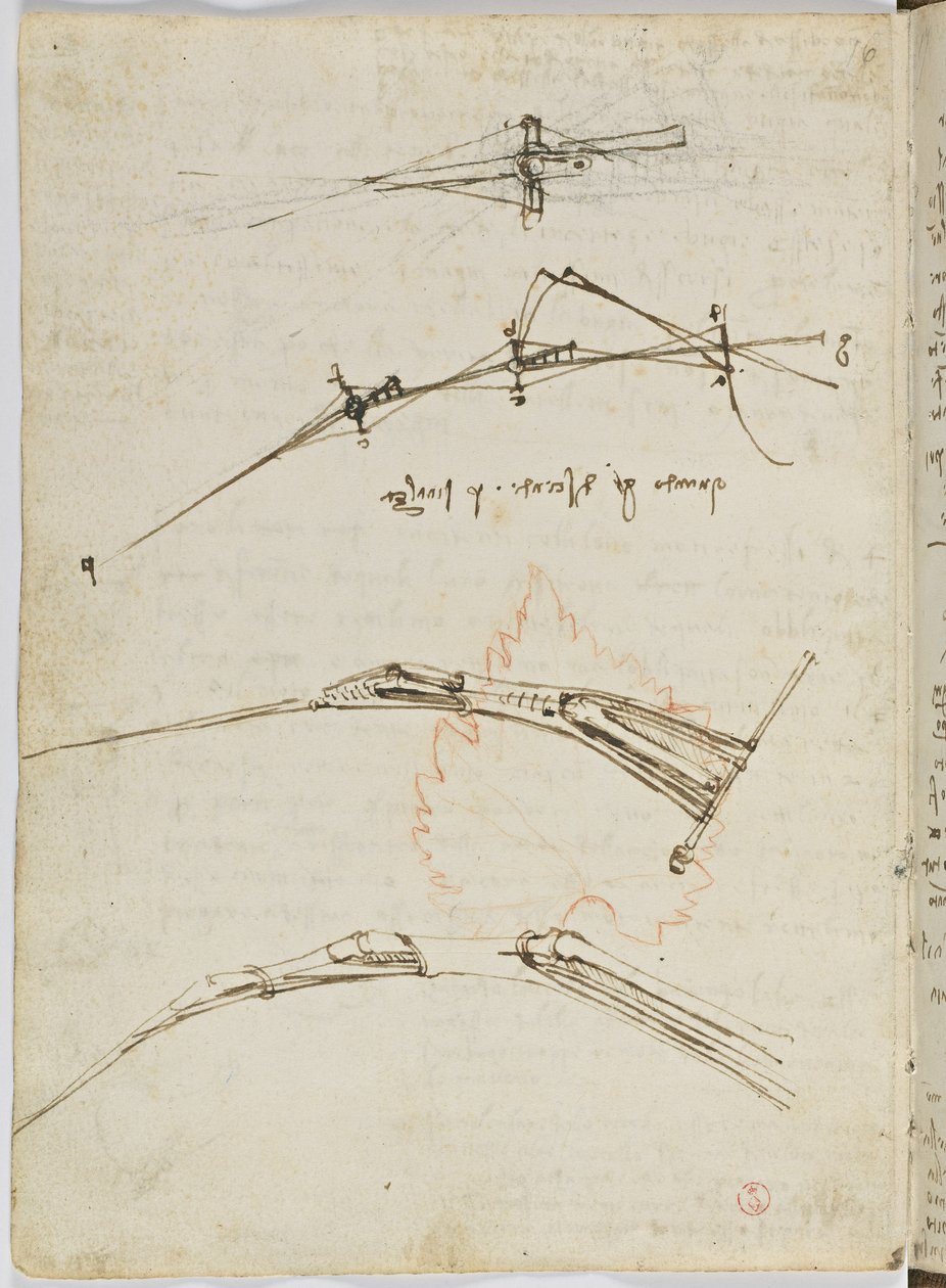 Flug der Vögel, c. 1505-06, Manuskript, Blatt 11 (verso) von Leonardo da Vinci