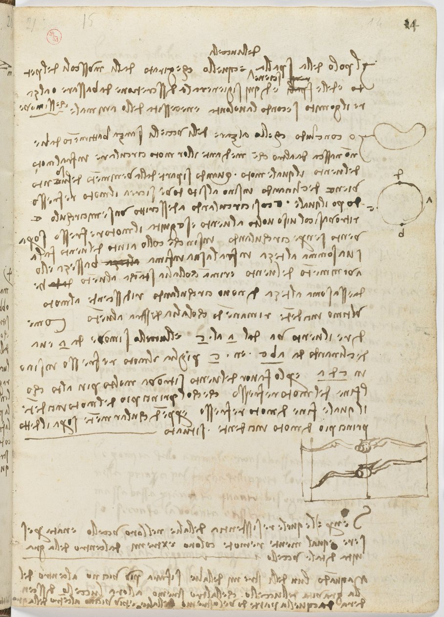 Flug der Vögel, c. 1505-06, Manuskript, Blatt 14 (recto) von Leonardo da Vinci