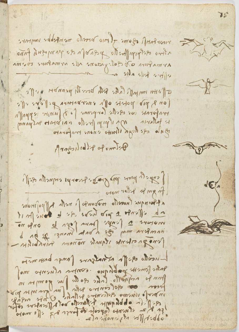 Flug der Vögel, c. 1505-06, Manuskript, Blatt 15 (recto) von Leonardo da Vinci