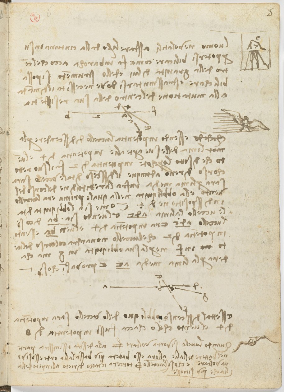 Vogelflugkodex, ca. 1505-06, Papiermanuskript, cc. 18, Blatt 5 recto von Leonardo da Vinci