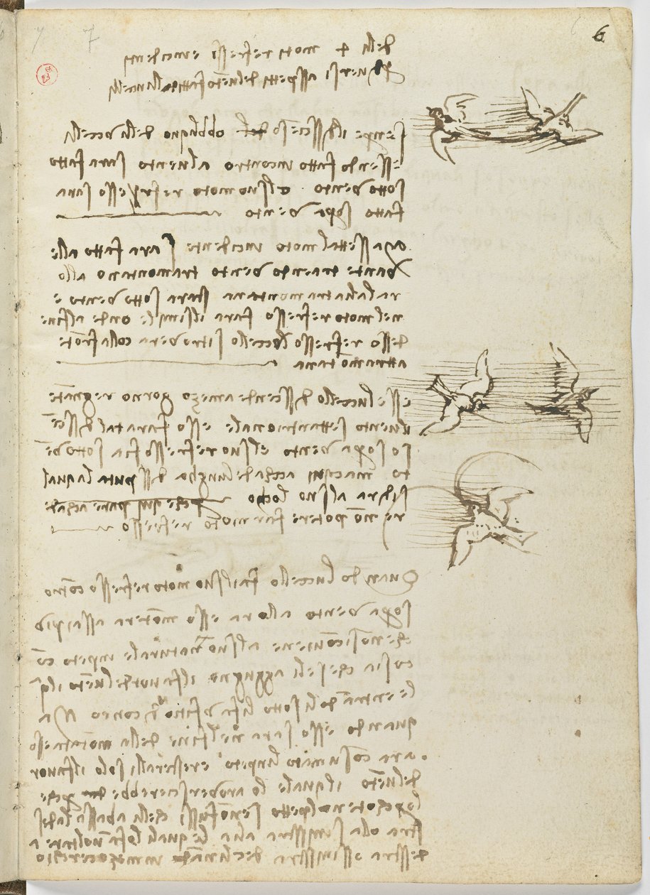 Flug der Vögel, ca. 1505-06, Papiermanuskript, cc. 18, Blatt 6 recto von Leonardo da Vinci