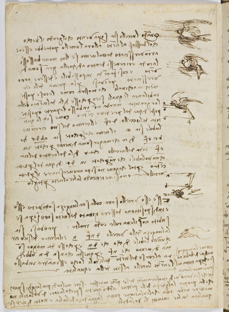 Vogelflugkodex, ca. 1505-06, Papiermanuskript, cc. 18, Blatt 8 verso von Leonardo da Vinci