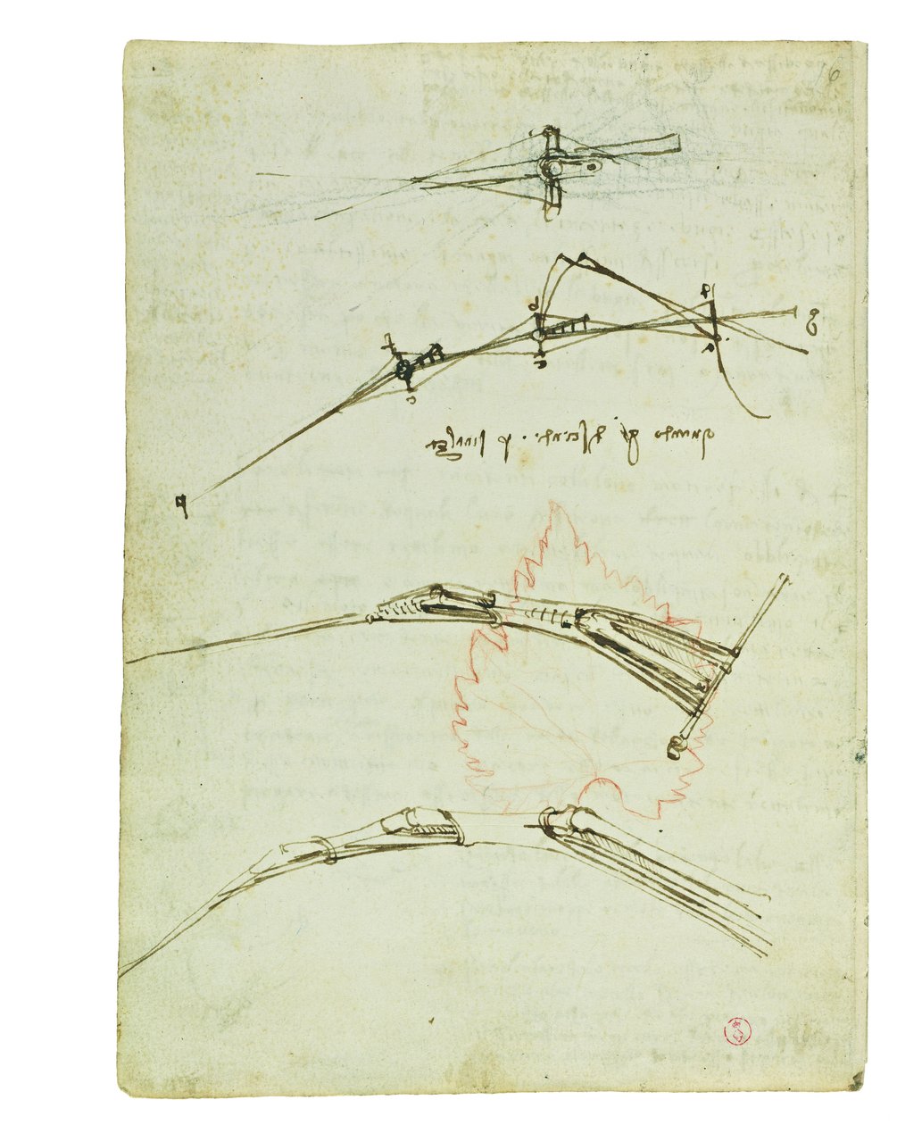Codex über den Vogelflug, Folio 11 verso von Leonardo da Vinci