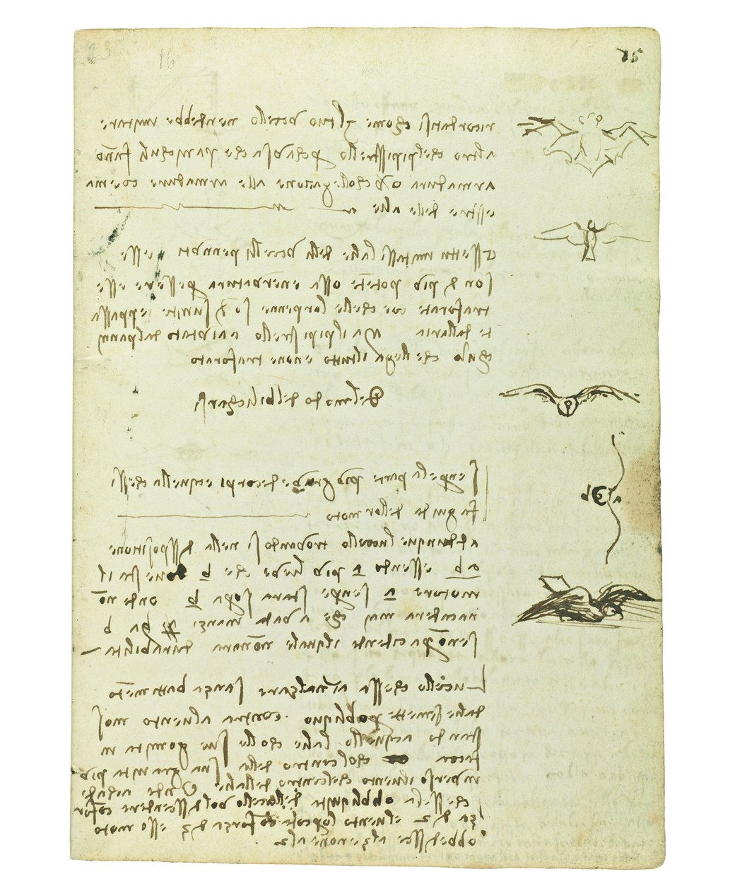 Codex über den Vogelflug, Folio 15 recto von Leonardo da Vinci