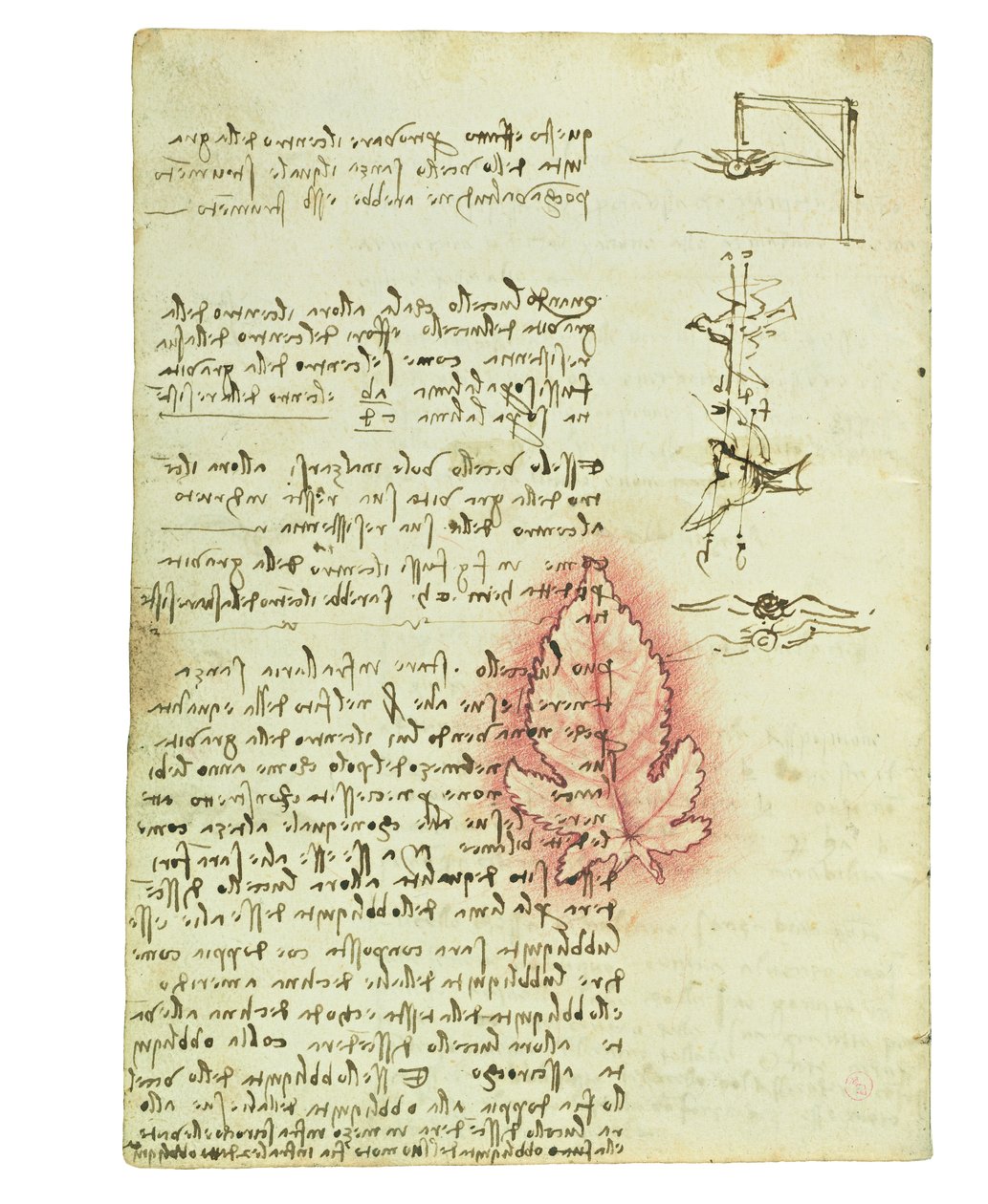 Codex über den Vogelflug, Folio 15 verso von Leonardo da Vinci