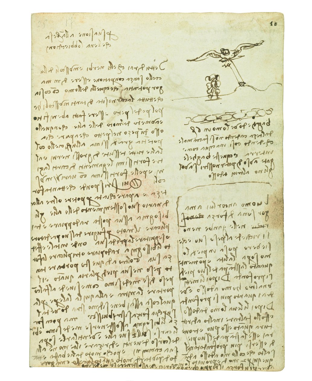 Codex über den Vogelflug, Folio 16 recto von Leonardo da Vinci