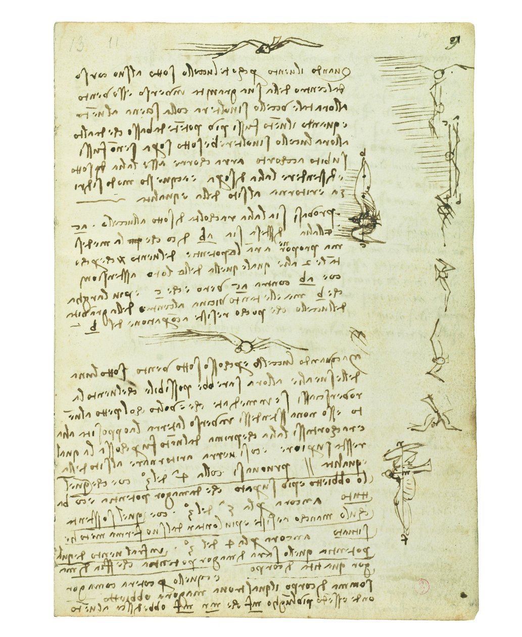 Codex über den Vogelflug, Folio 9 recto von Leonardo da Vinci