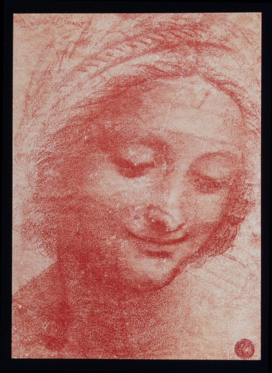 Kopf einer Frau von Leonardo da Vinci