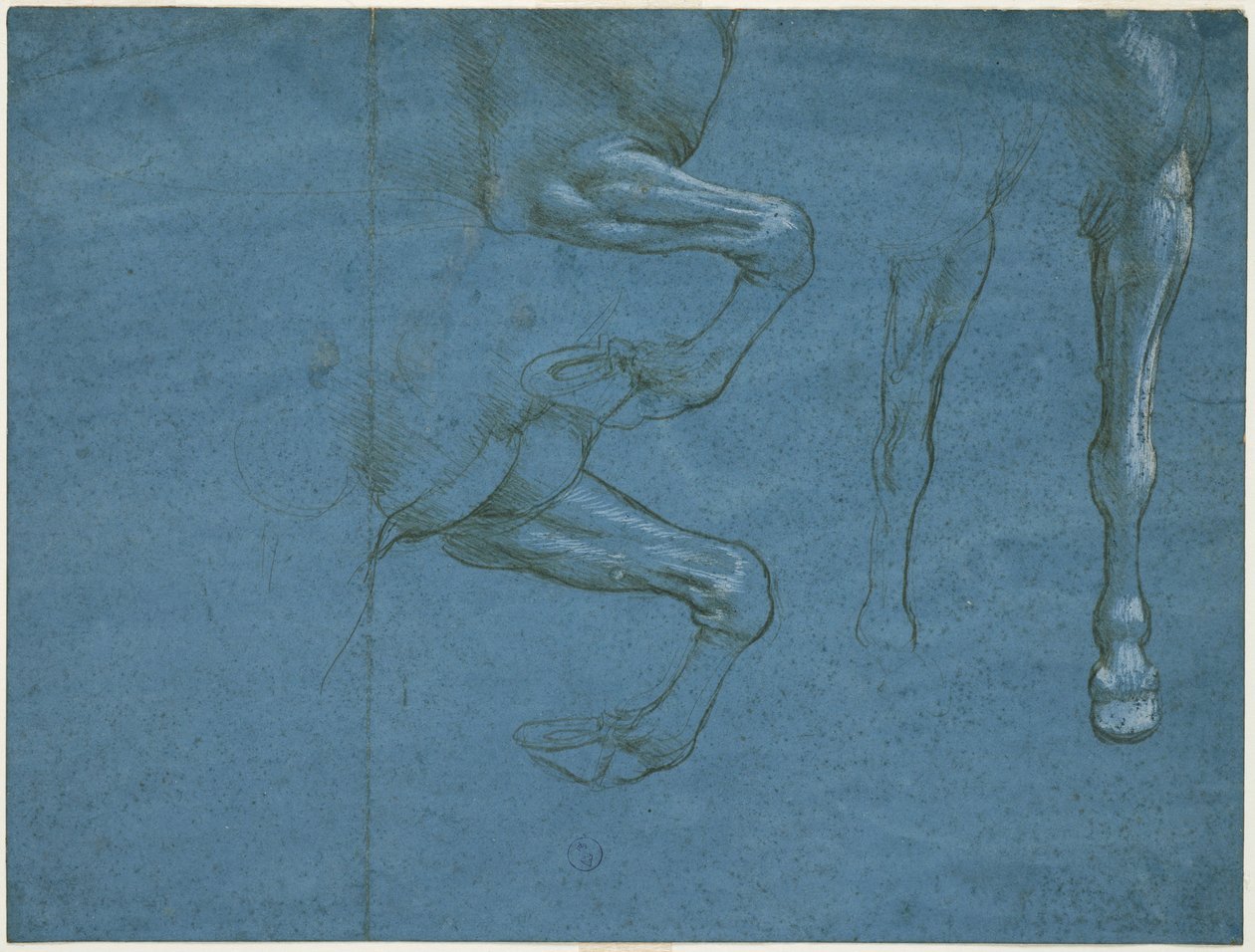 Studien zu den Vordergliedmaßen des Pferdes, ca. 1490 von Leonardo da Vinci