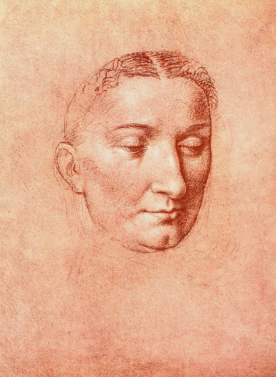 Studie für den Kopf eines Heiligen (Gallerie dell