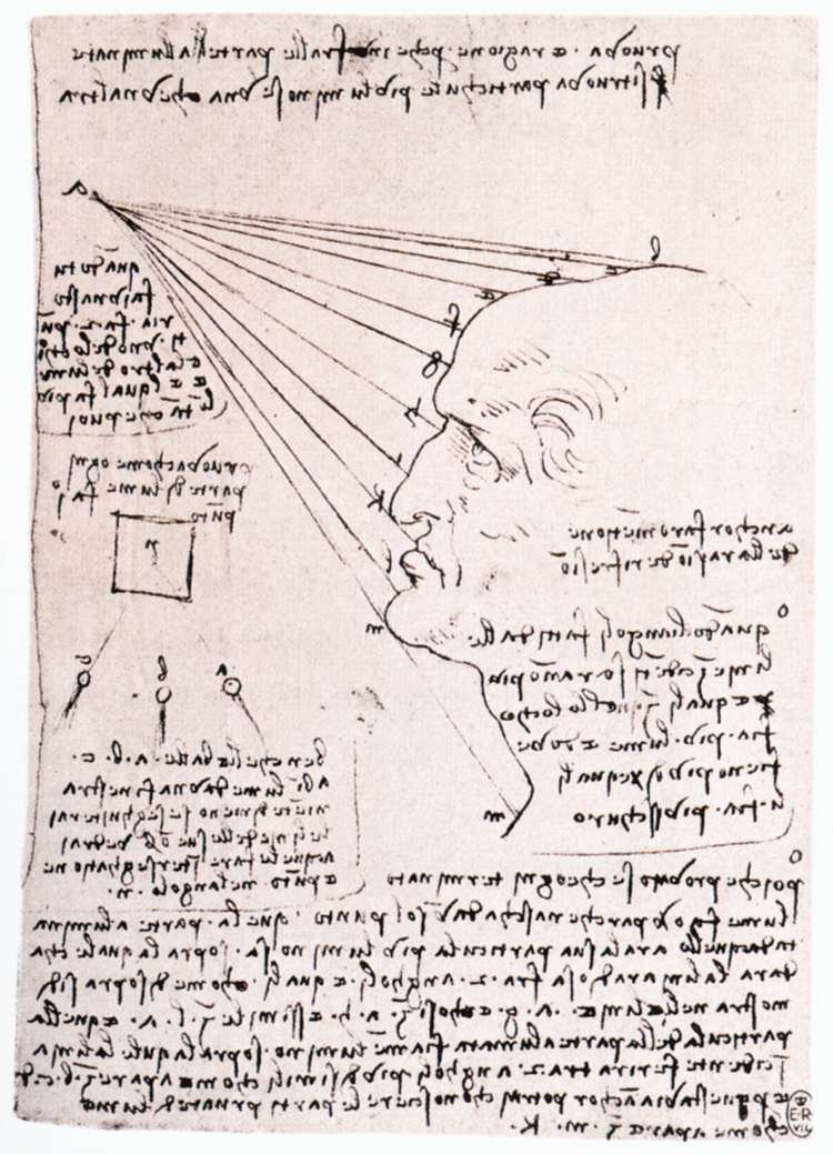 Studie über die Wirkung von Licht auf ein Profilkopf von Leonardo da Vinci
