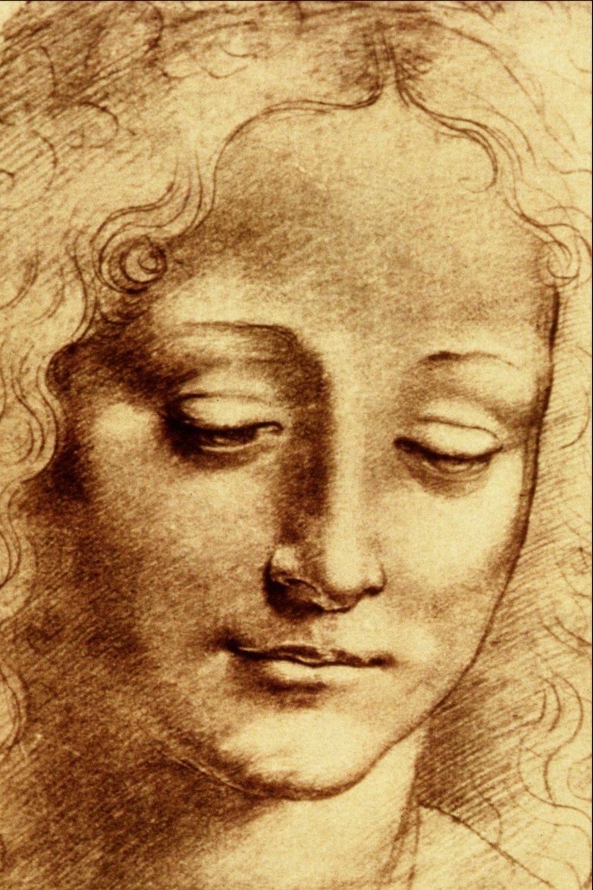 Teste di Giovinetta von Leonardo da Vinci