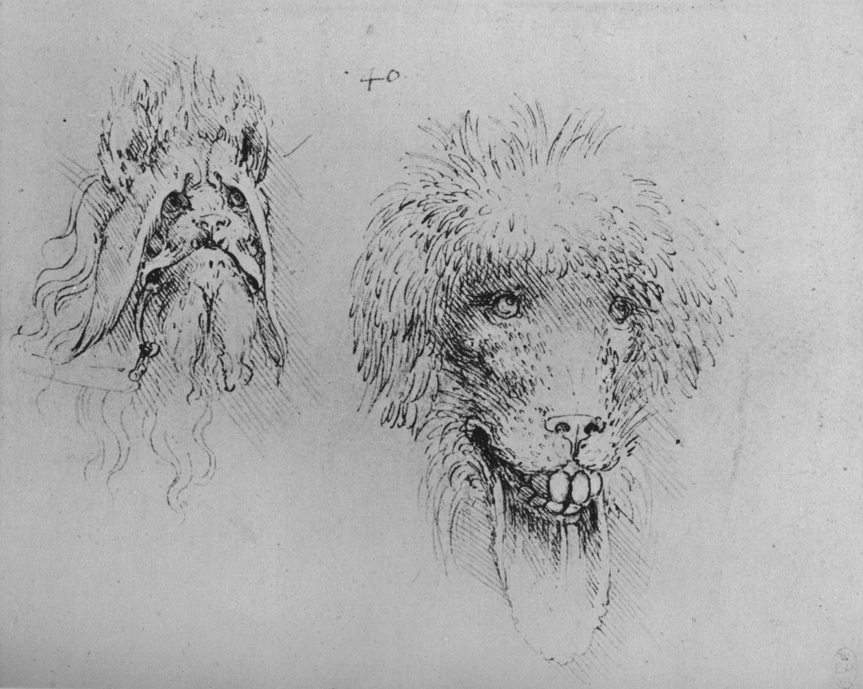Zwei Köpfe von Monstern, um 1480, 1945 von Leonardo da Vinci