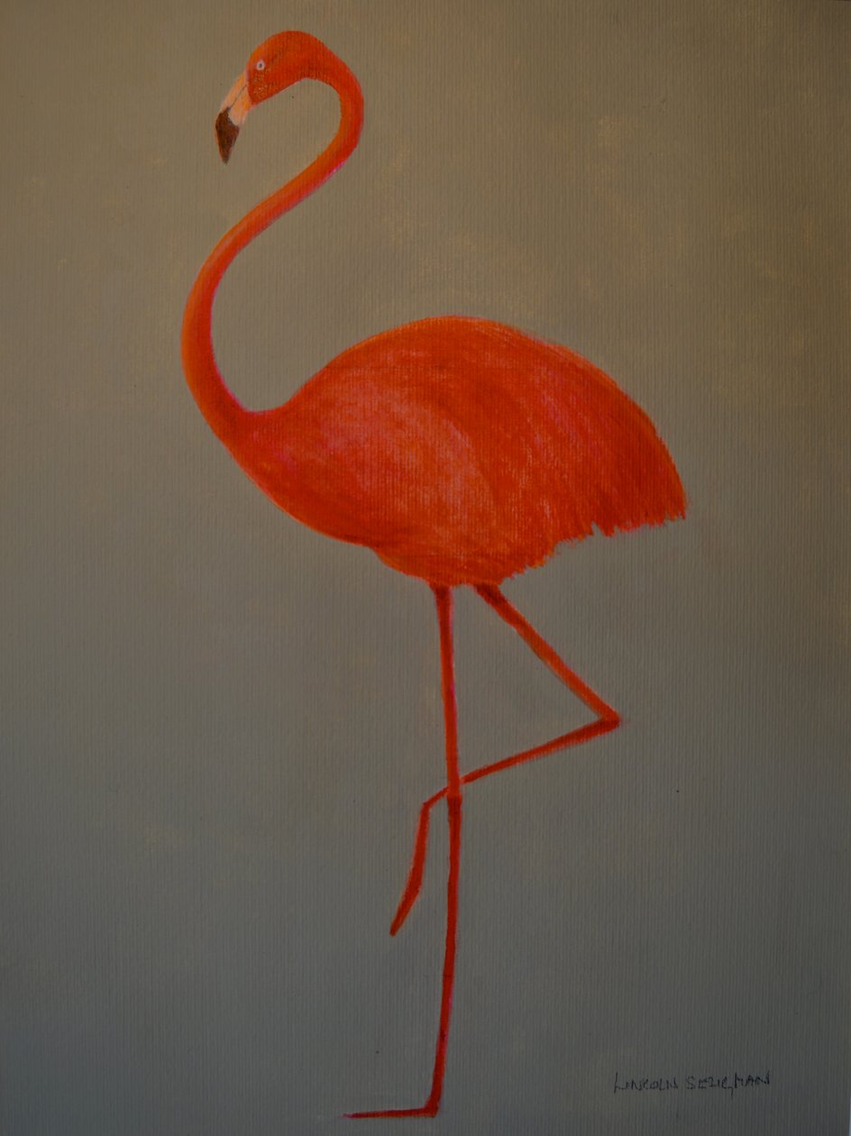 Flamingo von Lincoln Seligman