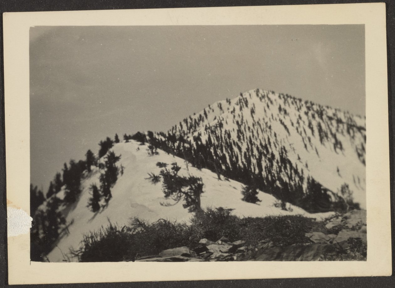 [Telescope Peak] von Louis Fleckenstein