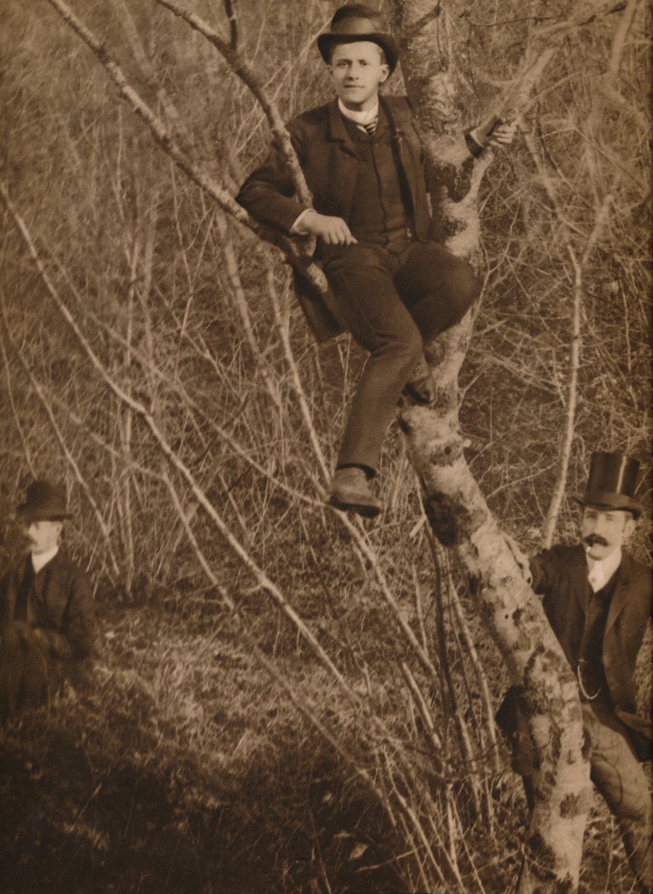 Mann saß in einem Baum, 1937 von Louis Guichard