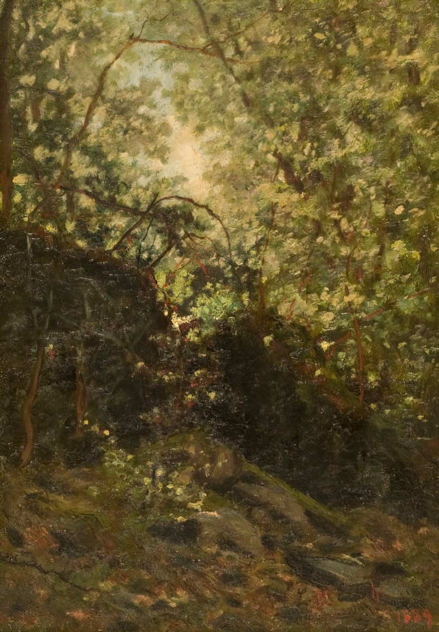 Nacht durch den Wald, 1889 von Louis Michel Eilshemius
