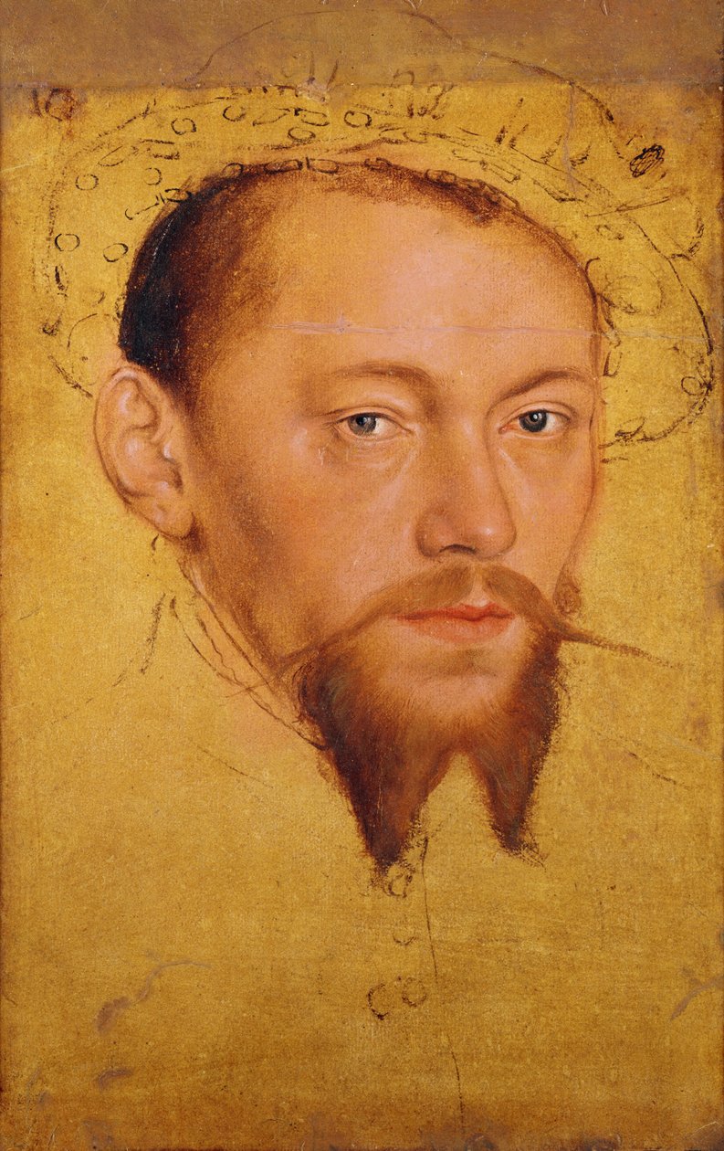 Moritz, Herzog von Sachsen, später Kurfürst von Lucas Cranach the Younger