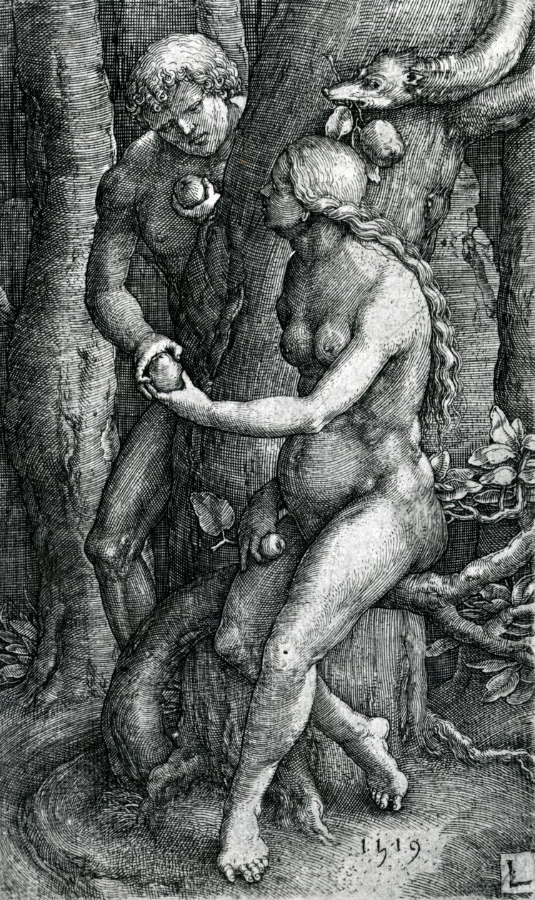 Der Sündenfall, 1519 von Lucas van Leyden