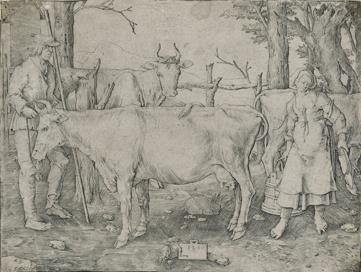 Die Milchmagd, 1510 von Lucas van Leyden