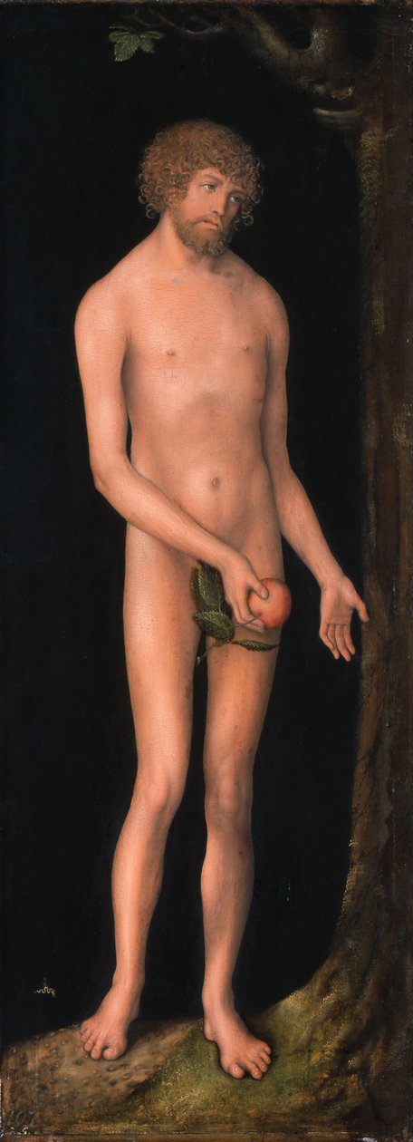 Adam von Lucas Cranach the Elder