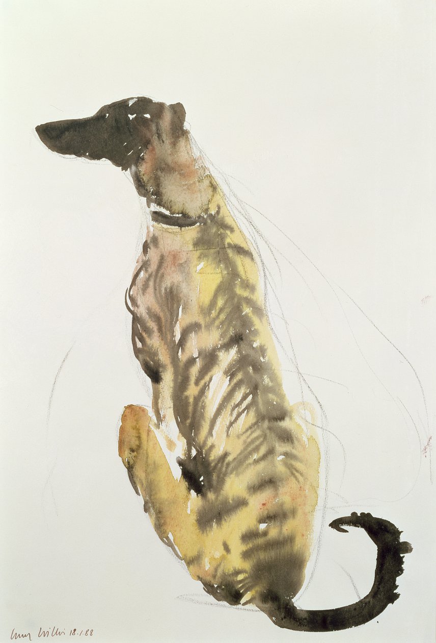 Lurcher sitzt von Lucy Willis