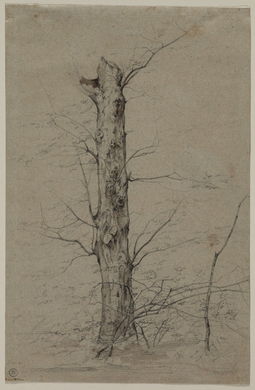 Baum, um 1835-45 von Ludwig Ferdinand Schnorr von Carolsfeld