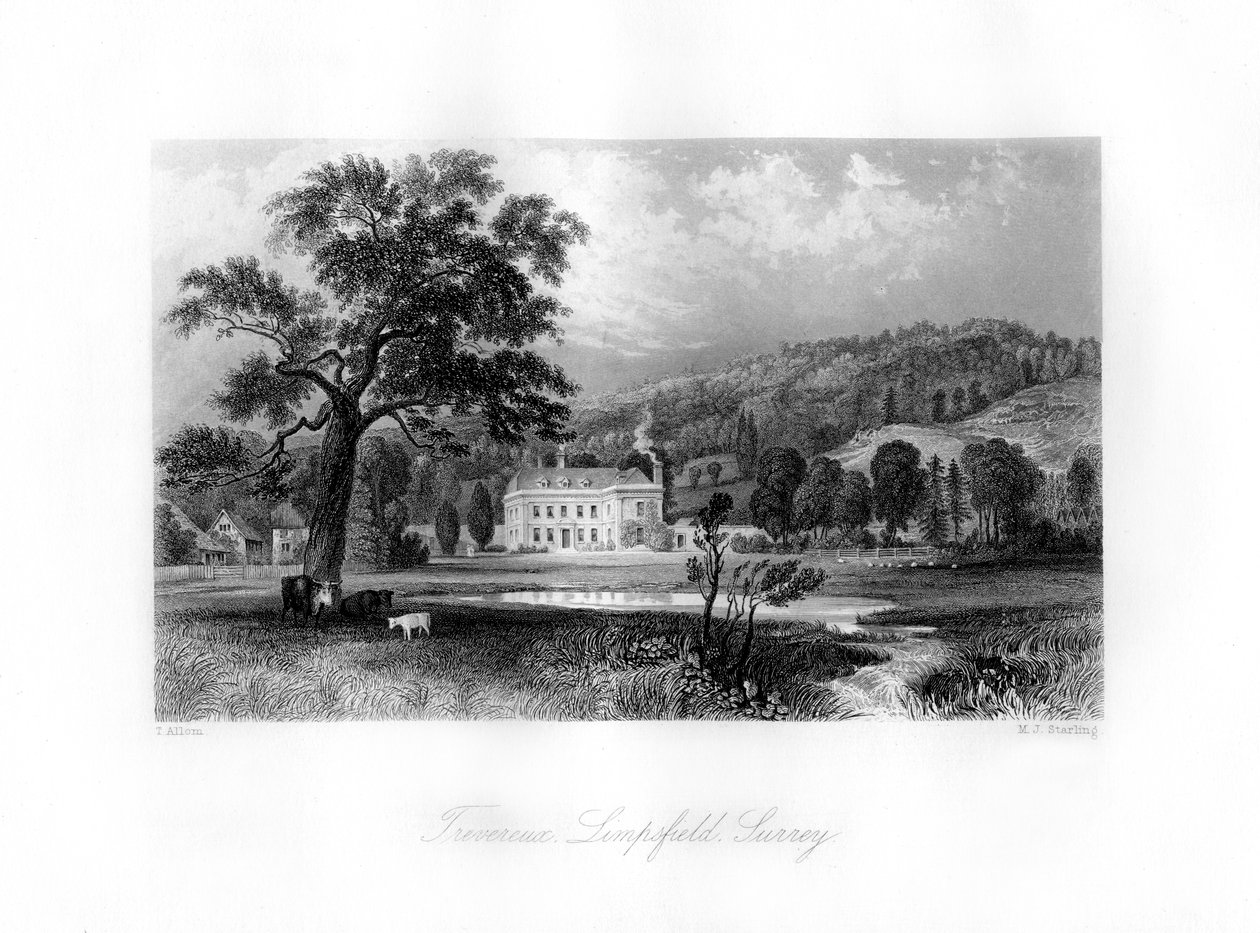 Trevereux, Limpsfield, Surrey von M. J. Starling