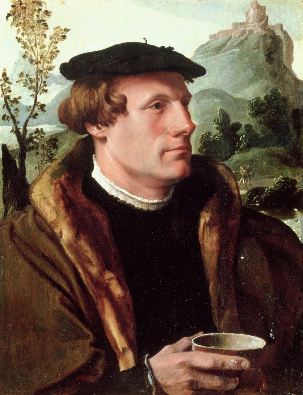 Porträt eines Gentlemans von Maerten van Heemskerck