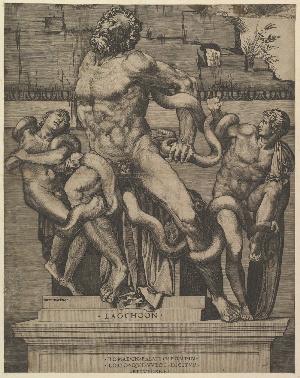 Speculum Romanae Magnificentiae: Laokoon von Marco Dente