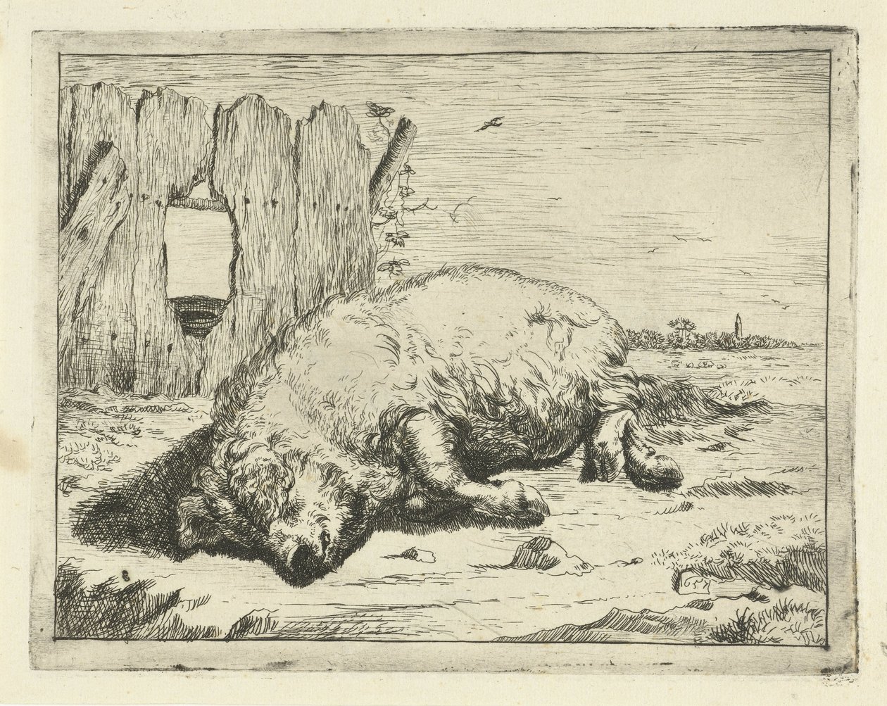 Liegendes Schwein von Marcus de Bye
