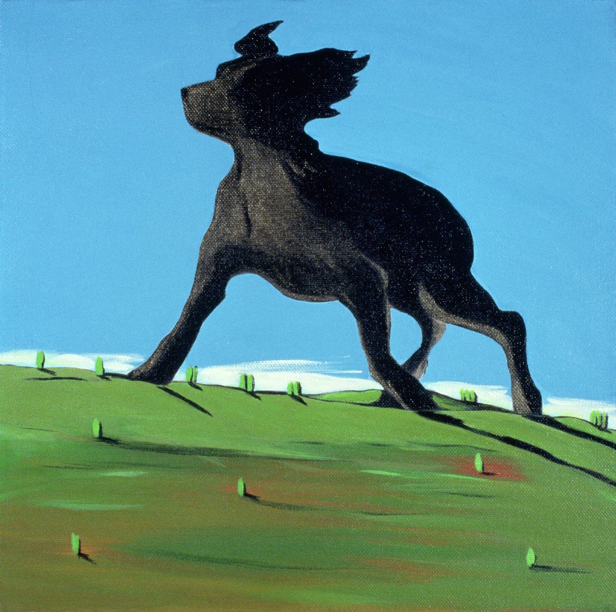 Erstaunlicher schwarzer Hund, 2000 von Marjorie Weiss