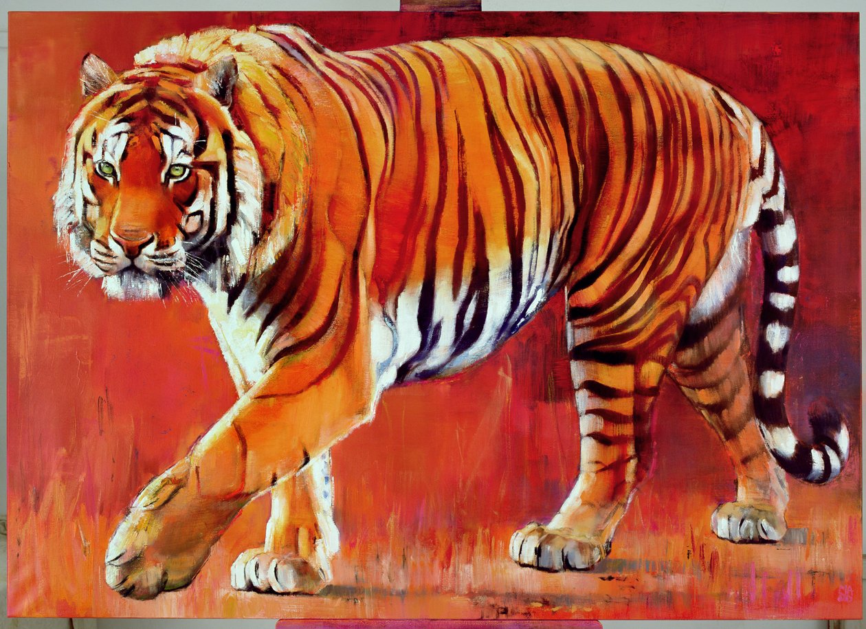 Bengalischer Tiger von Mark Adlington