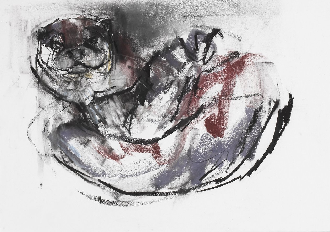 Fischotter von Mark Adlington