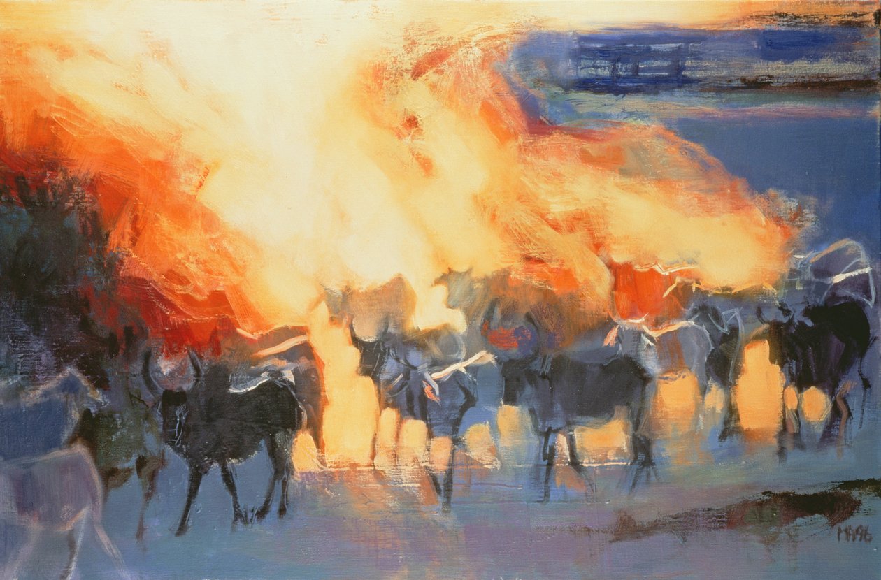Staubwolke, Drung, 1996 von Mark Adlington