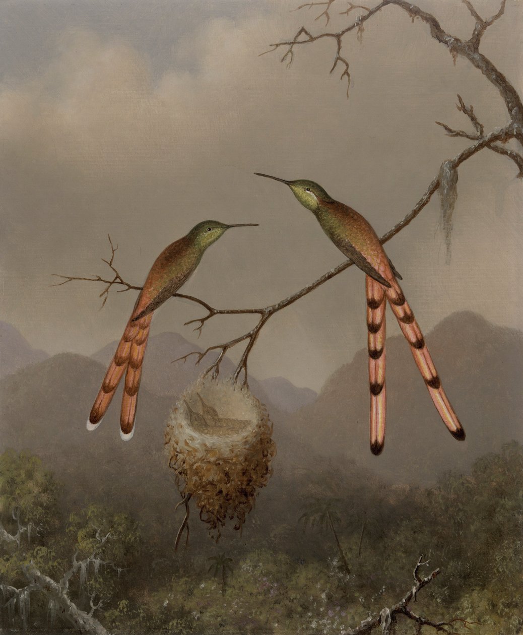 Zwei Kolibris mit ihren Jungen von Martin Johnson Heade